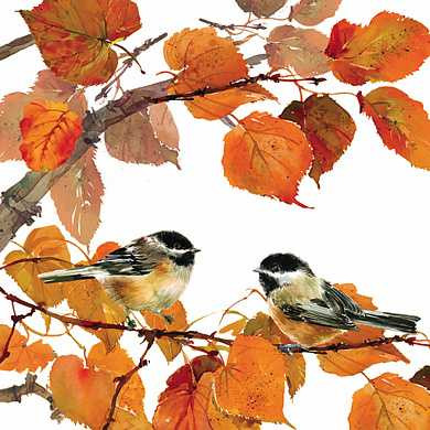 Салфетки Autumn birds бумажные 20 шт. (арт. 3331347) купить в интернет-магазине ТОО Снабжающая компания от 3 724 T, а также и другие Салфетки на сайте dulat.kz оптом и в розницу